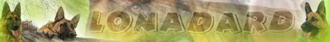 http://www.lonadard.dogweb.cz