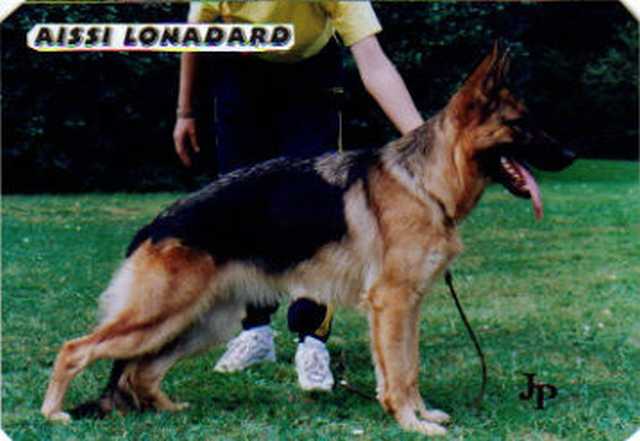 tl_files/lonadard/fotogalerie/aissi-lonadard/aissi-lonadard.jpg