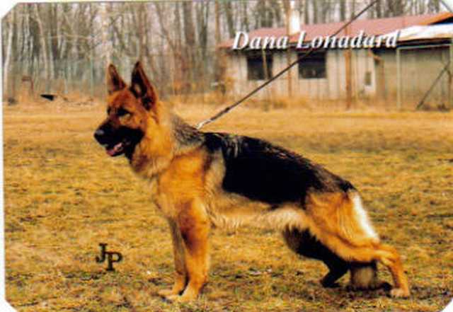 tl_files/lonadard/fotogalerie/dana-lonadard/dana.jpg tl_files/lonadard/fotogalerie/dana-lonadard/dana.jpg