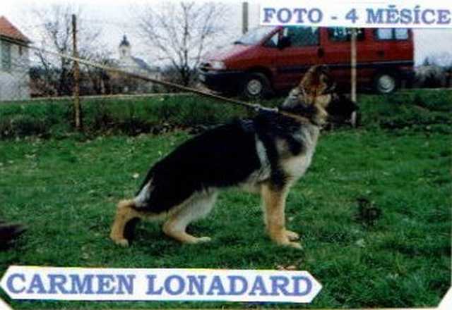 tl_files/lonadard/fotogalerie/dolly-clark/carmen.jpg tl_files/lonadard/fotogalerie/dolly-clark/carmen.jpg