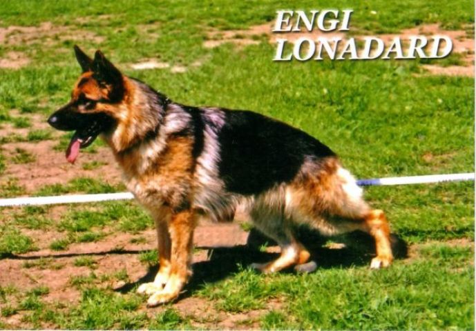 tl_files/lonadard/fotogalerie/engi-lonadard/obrazek001.jpg