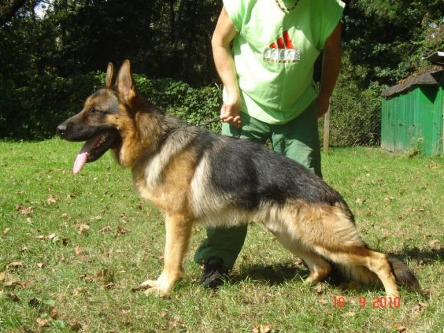 tl_files/lonadard/fotogalerie/henrico-lonadard/DSC00023.JPG