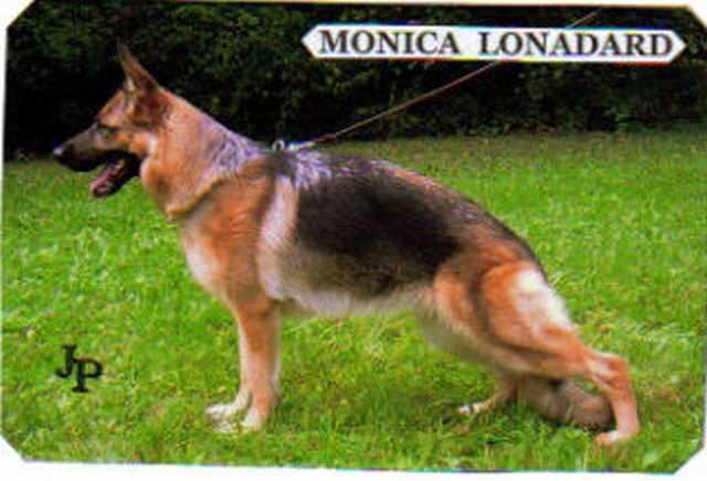 tl_files/lonadard/fotogalerie/monica-lonadard/monica.jpg