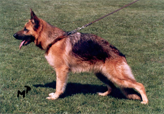 tl_files/lonadard/fotogalerie/netty-framato/netty-framato-rolau.jpg